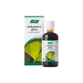 BIOFORCE-GINKGOFORCE (GERIAFORCE) - 100 Ml.